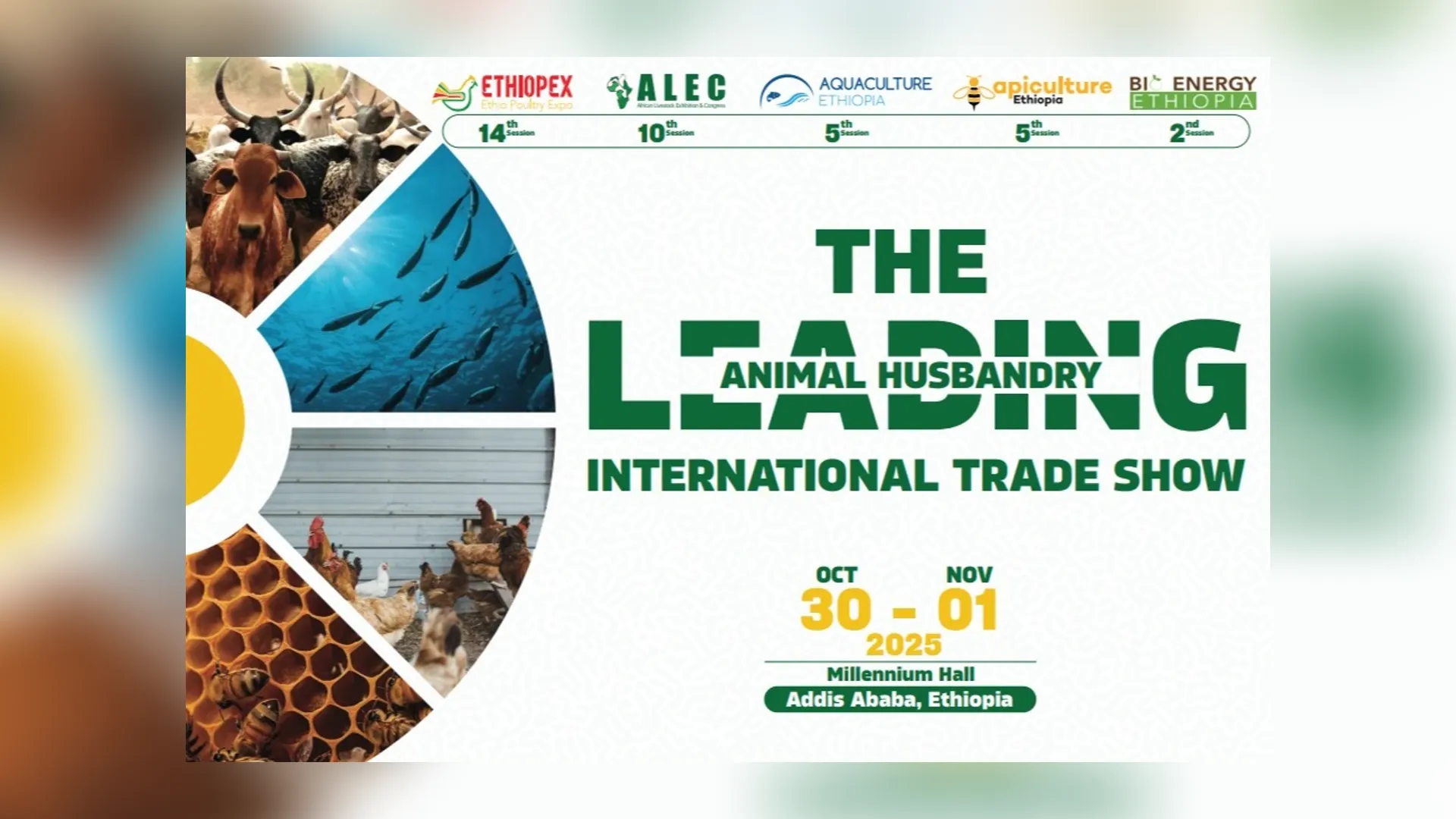 African Livestock Exhibition & Congress