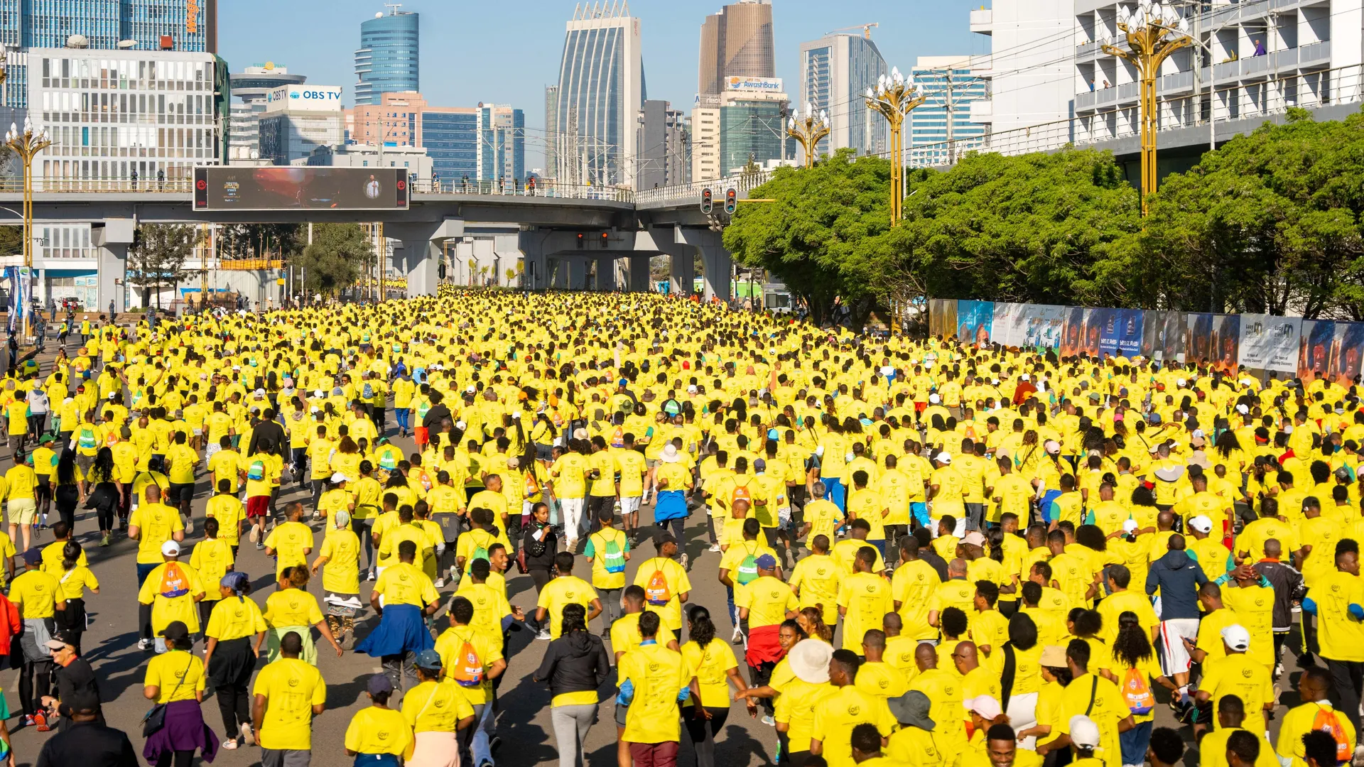 The Great Ethiopian Run