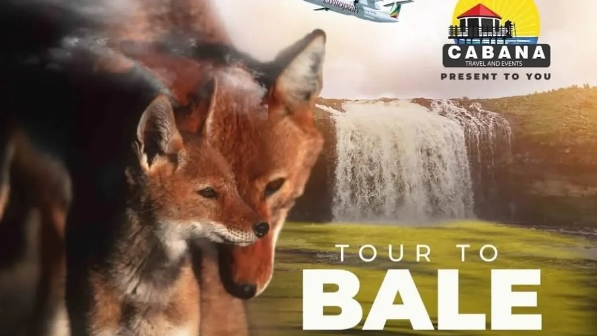 𝐄𝐱𝐩𝐥𝐨𝐫𝐞 𝐎𝐫𝐨𝐦𝐢𝐚 𝐭𝐡𝐢𝐬 𝐍𝐨𝐯𝐞𝐦𝐛𝐞𝐫! Several upcoming trips.