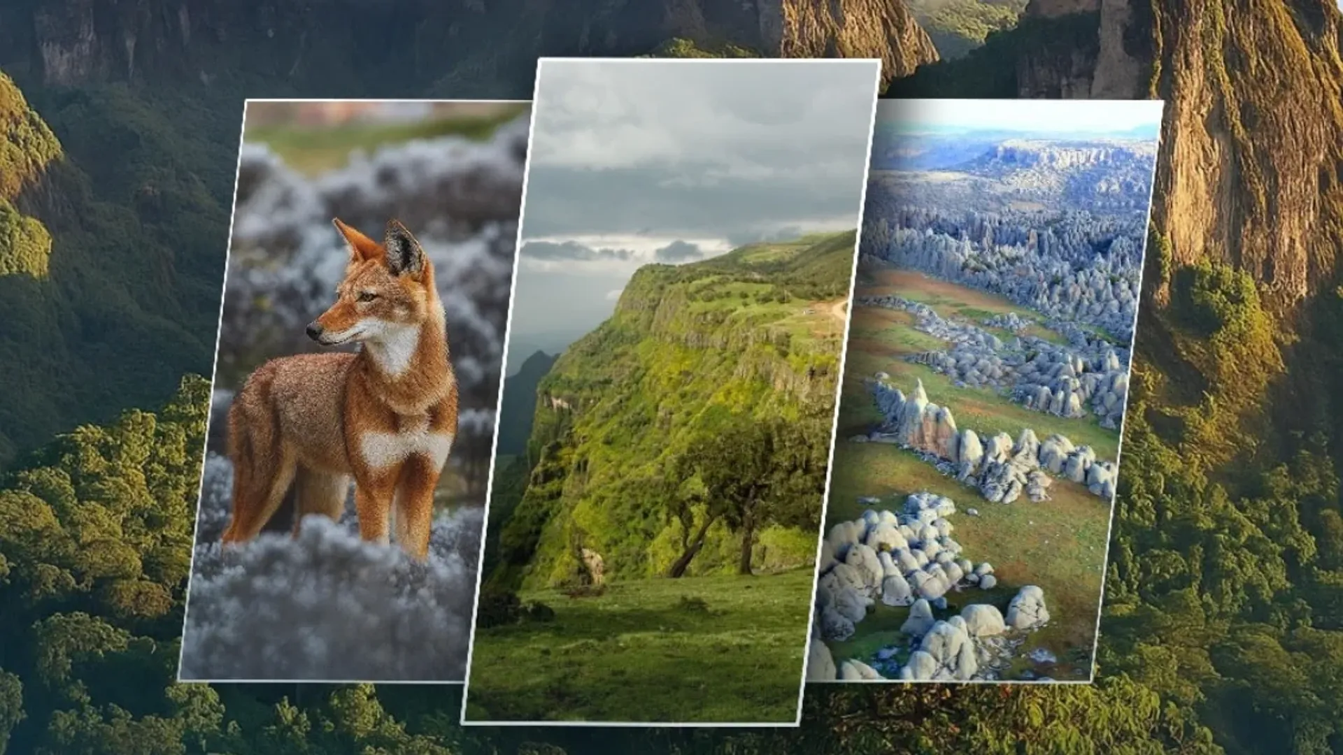 4 days getaway full of mountains, wildlife & wonder