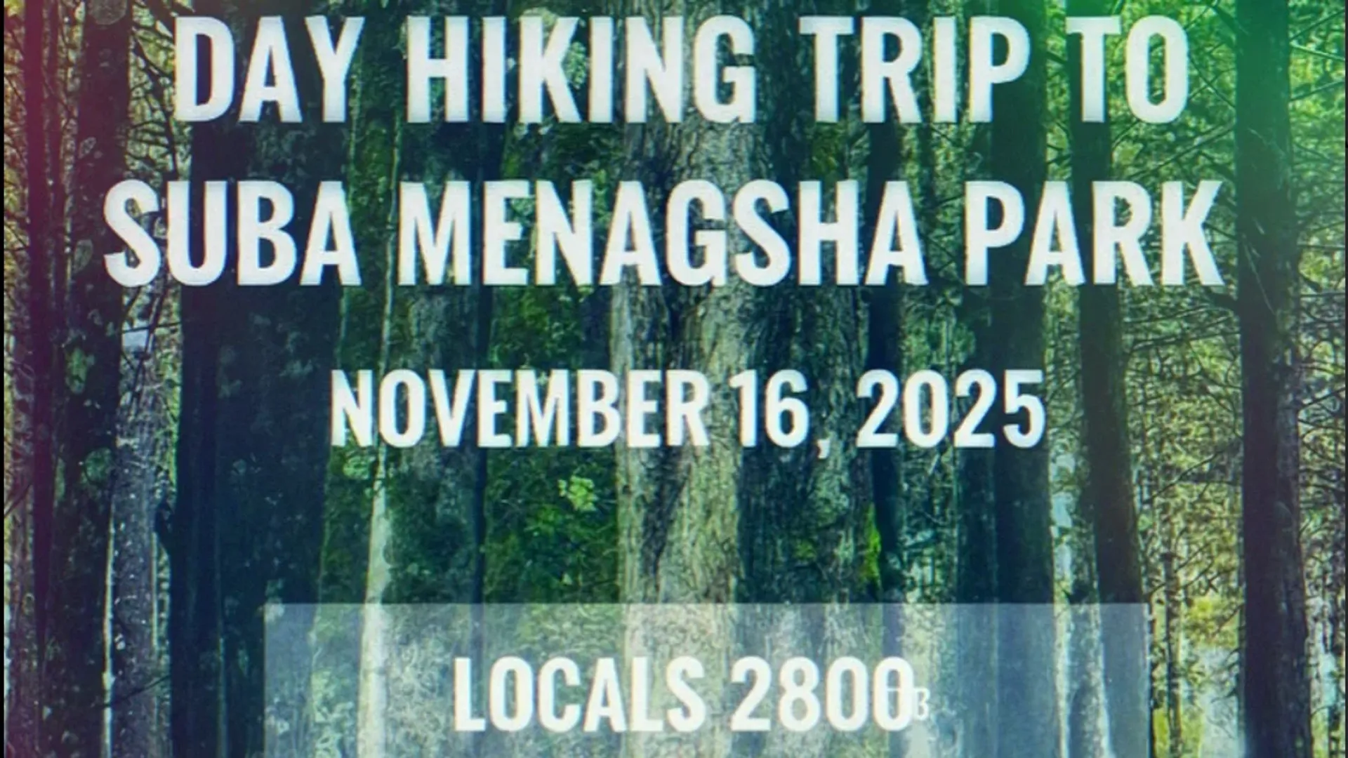 Day Hiking Trip – Suba Menagesha Forest Park
