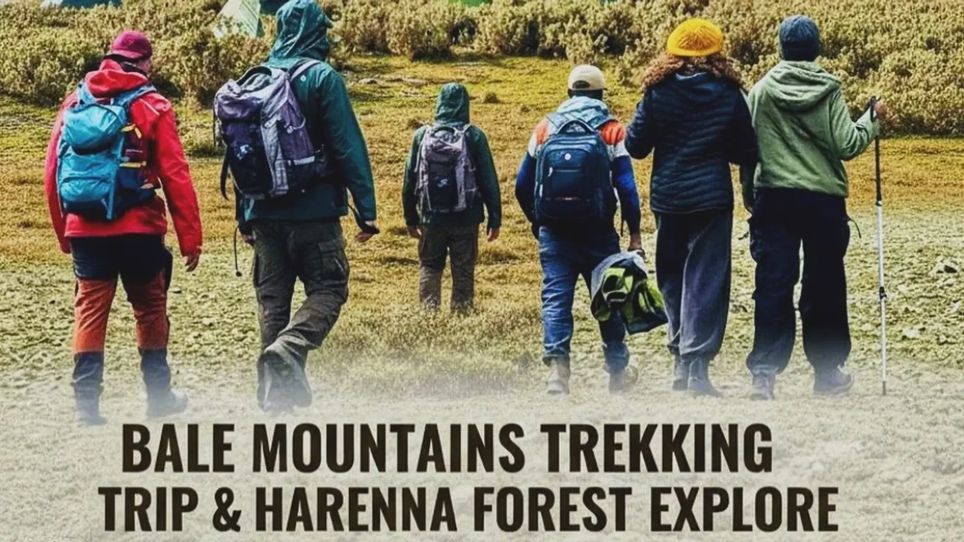 Bale Mountains Trekking Adventure
