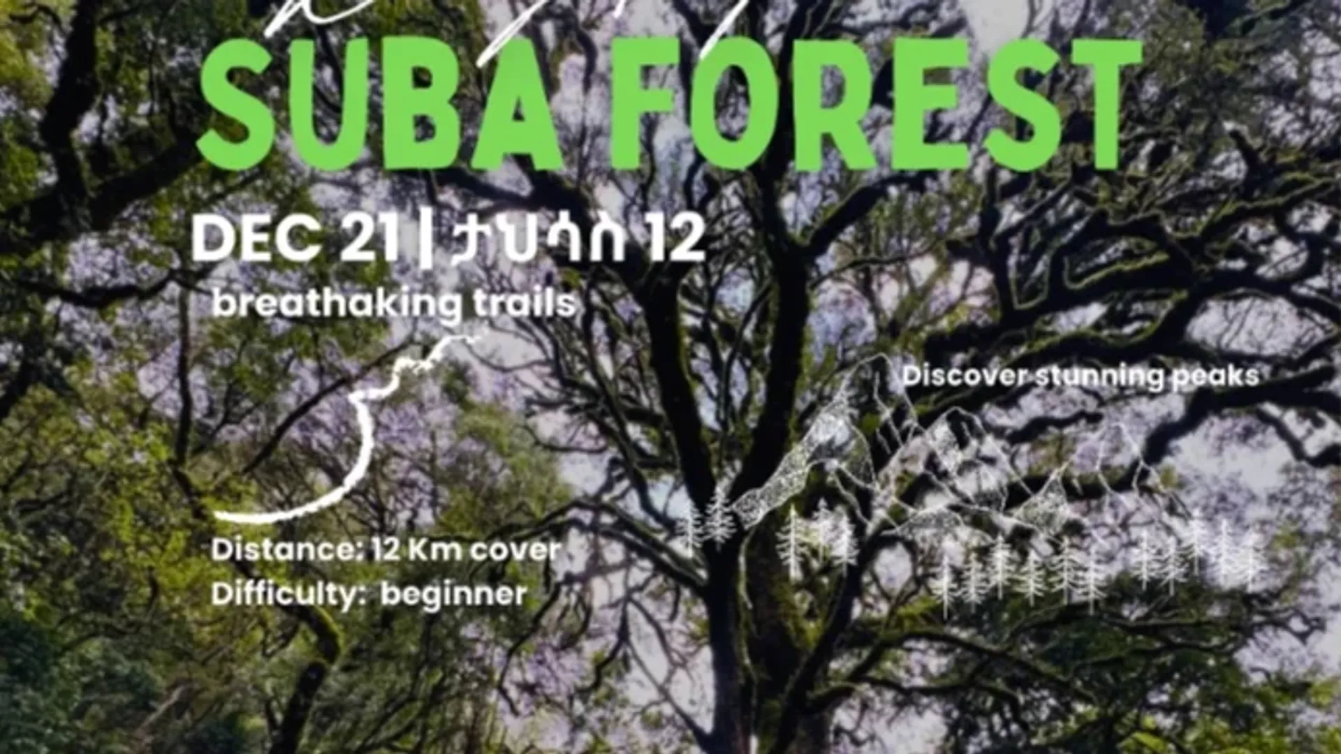 Day trip to Suba forest