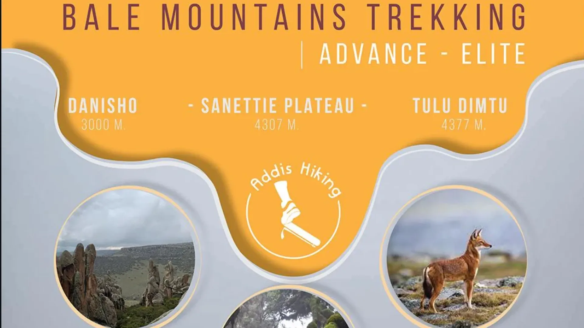 Hiking in Bale Mountains national park