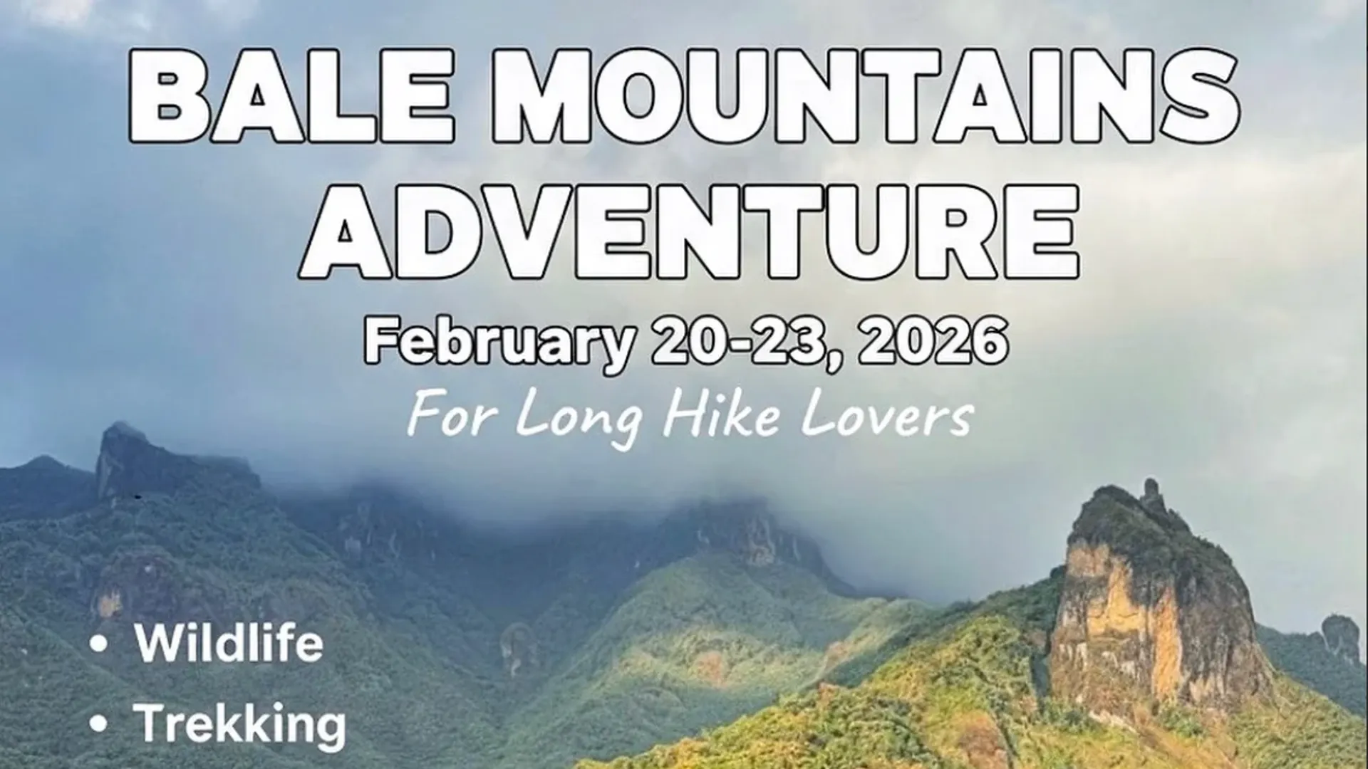 🏔 Trip to Bale Mountains - Outdoors tour and experience in Addis Ababa, Ethiopia