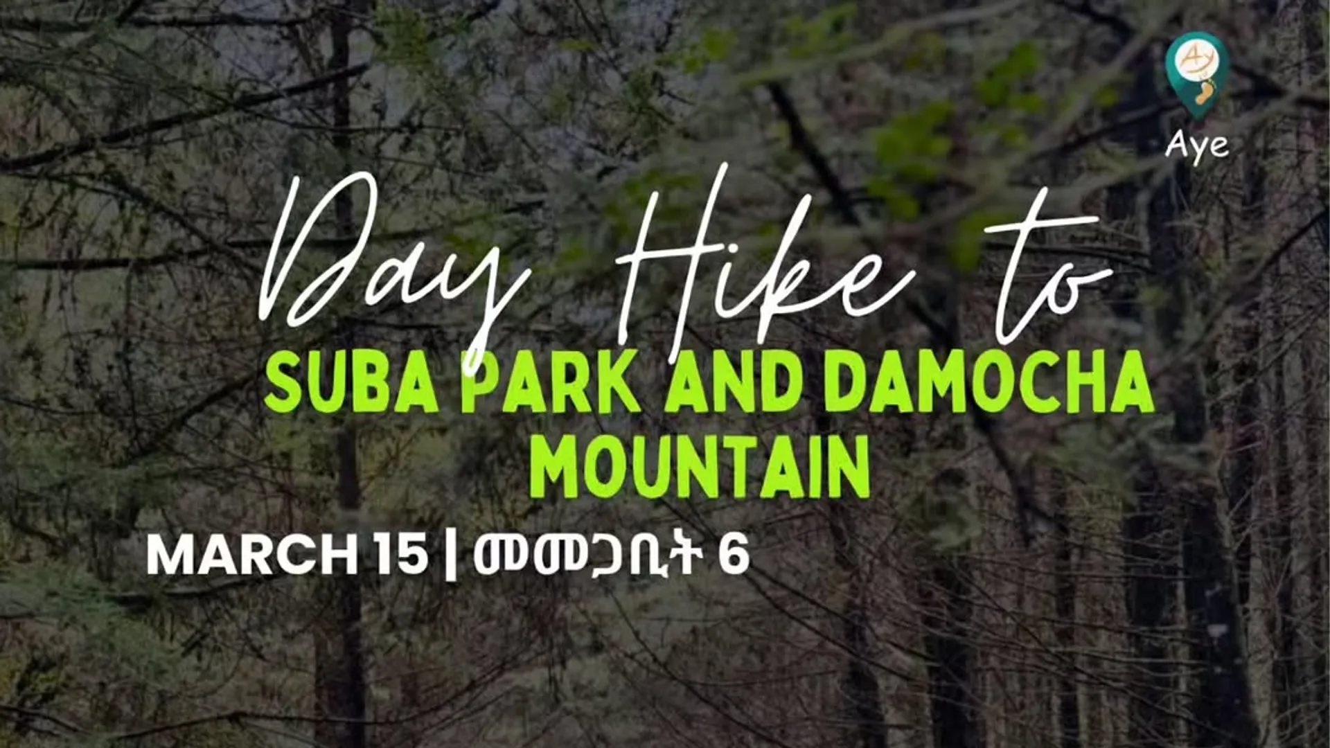 Mount Suba Ridge Day hike to Suba park & Damocha Mountain | Mar 15, 2026 | Events in ...