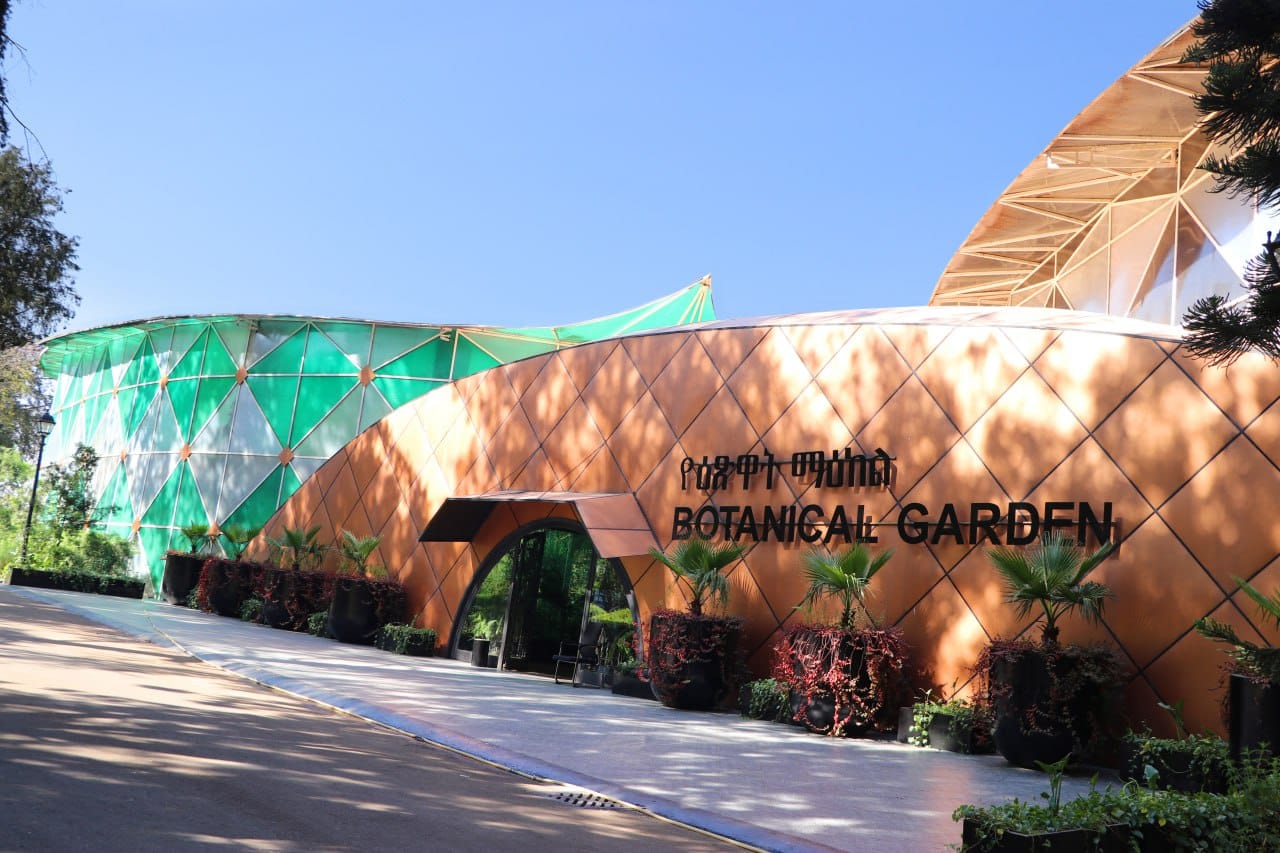 Find Peace and Whimsy in the Indigenous Garden