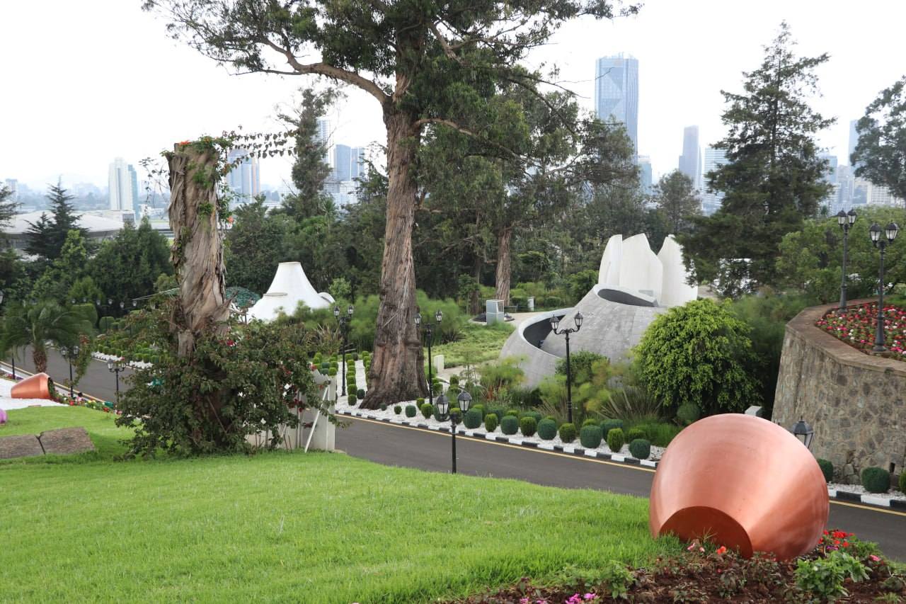 Find Peace, Awe, and Adventure in the Green Areas