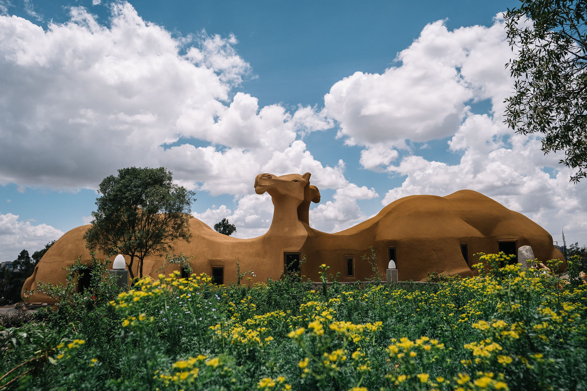 Travel All of Ethiopia in an Afternoon