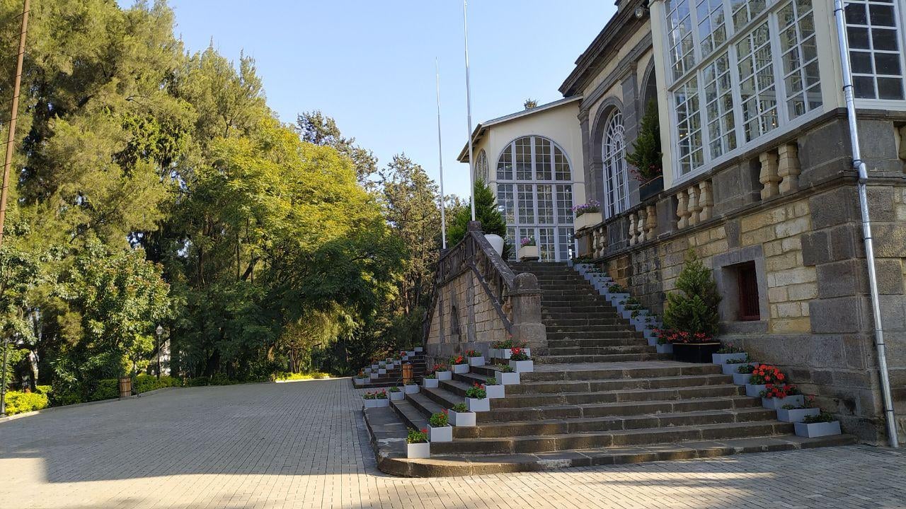 Witness the Contrast in The Throne House